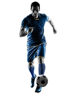 九游体育 主要标志